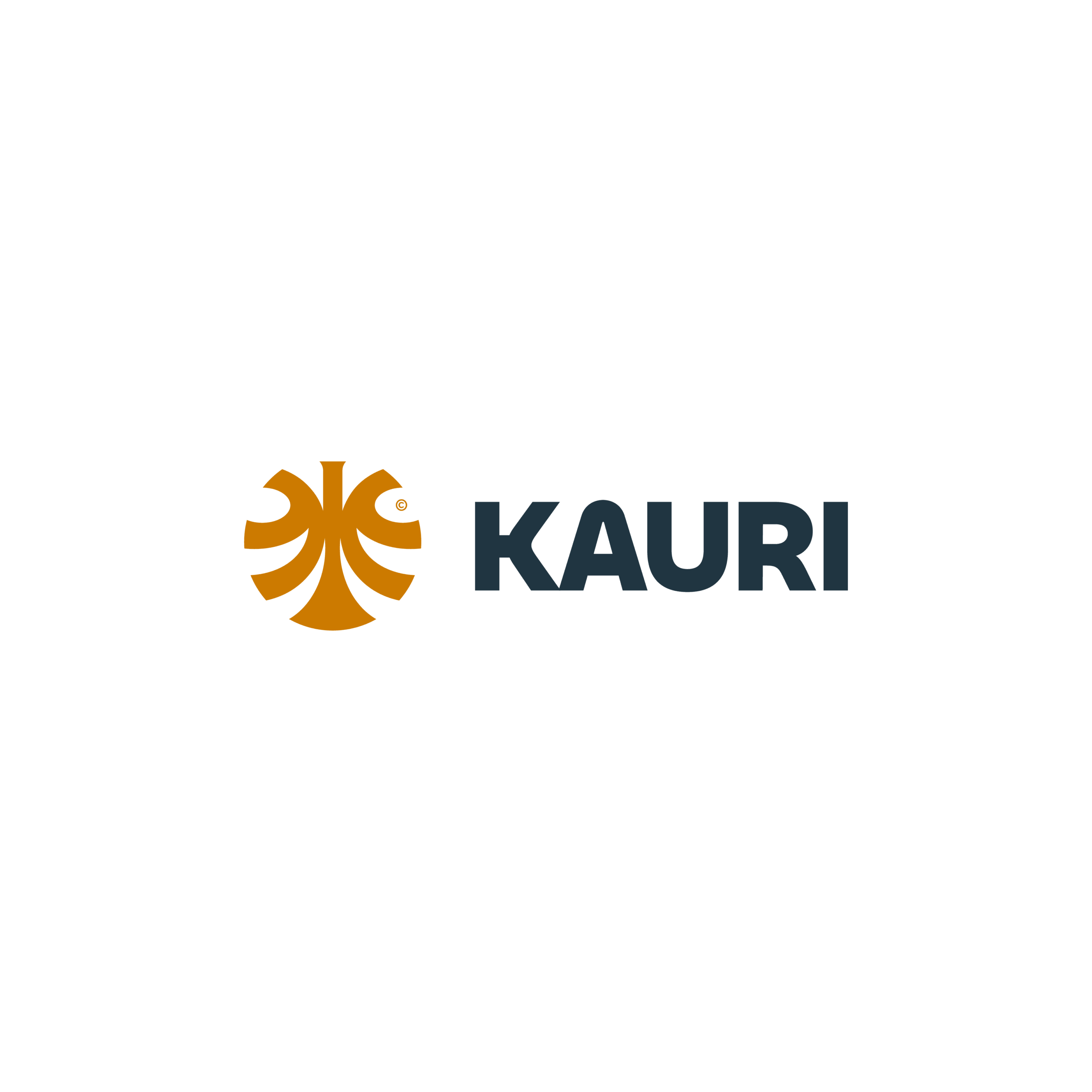 Kauri